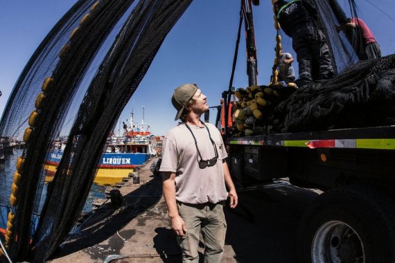 Mann am Hafen schaut ausrangierte Fischernetze