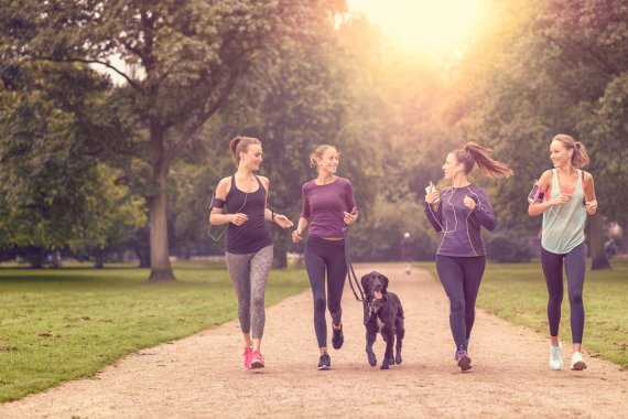 Vier Frauen und ein Hund joggen gemeinsam im Park