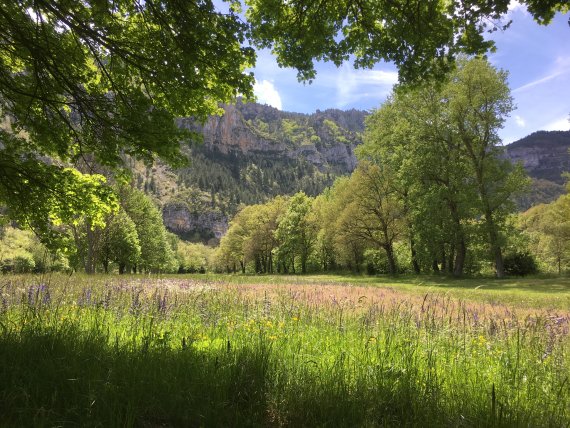 Der Campingplatz Charbonnières liegt direkt am Fluss Tarn