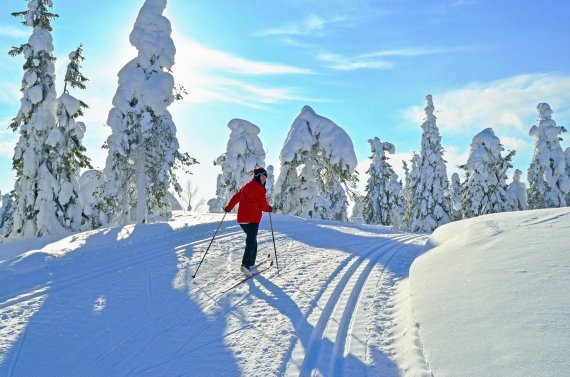 Langlauf-Paradies: Auf Skiern durch den tief verschneiten Winterwald 