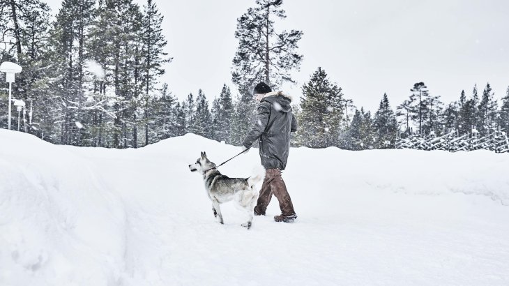 ICEBUG-Träger mit Hund