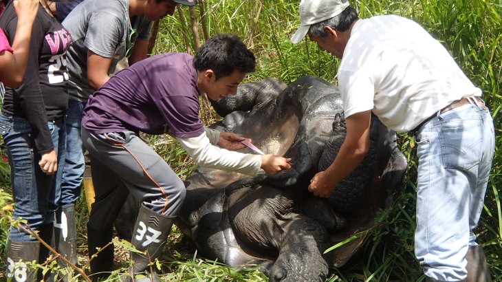 Lokales Jugendprojekt: Schutz der Galapagos Riesenschildkröte