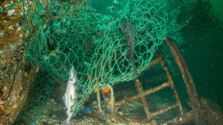 Tauchexpedition zur Meeresreinigung: Bruine Bank, Niederlande.