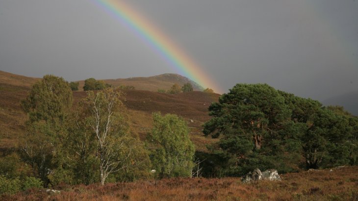 Erhaltung der Highlands, Schottland.