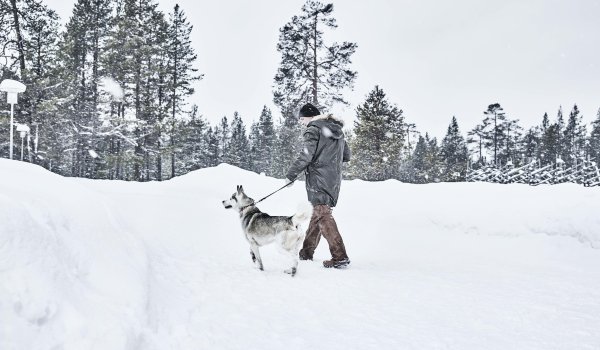 ICEBUG-Träger mit Hund