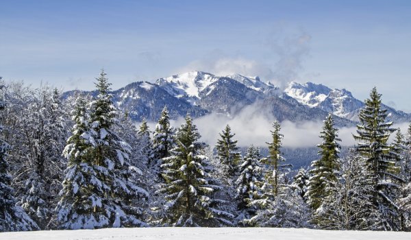 Die alpine Skitour-Route vom Pistenskigebiet am Brauneck auf die Benediktenwand (1800 m) ist nicht nur konditionell, sondern auch technisch durchaus fordernd.