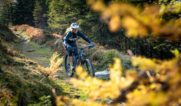 So macht Skitraining Spaß: Sandra Lahnsteiner beim Biken in Gastein. Ausdauer ist immens wichtig im Skisport und mindert sogar das Verletzungsrisiko, findet die Freeriderin.